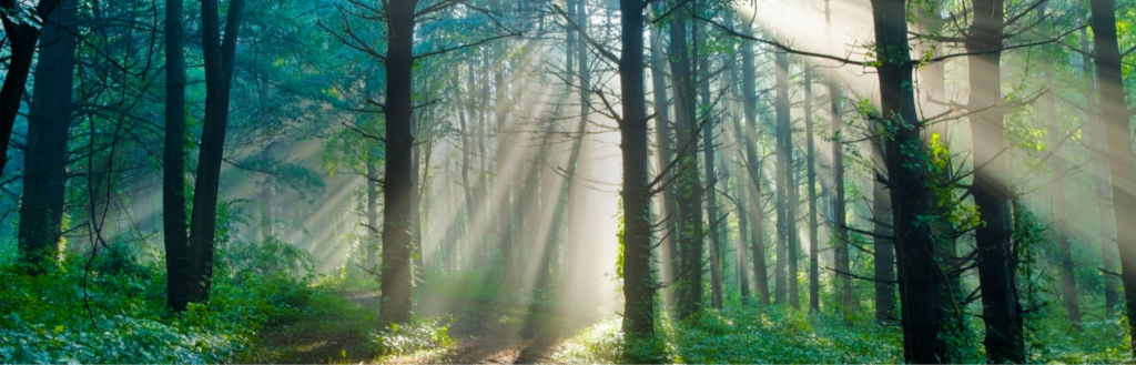 داریک . تصویر و متن